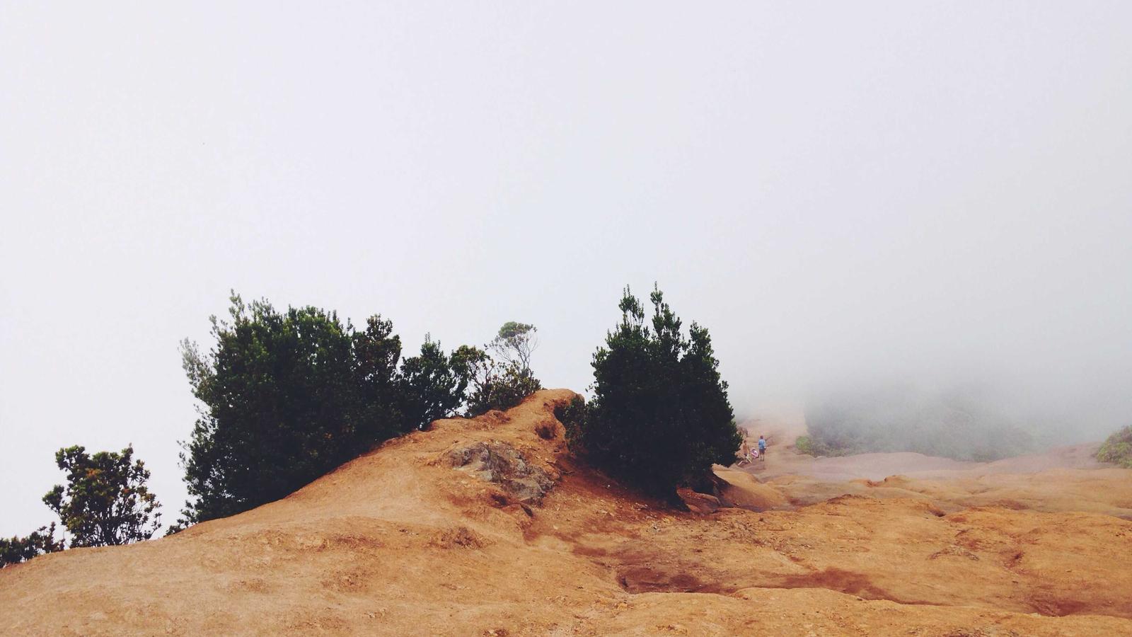 Migrating from Squarespace to Wix: A Strategic 4-Week Plan