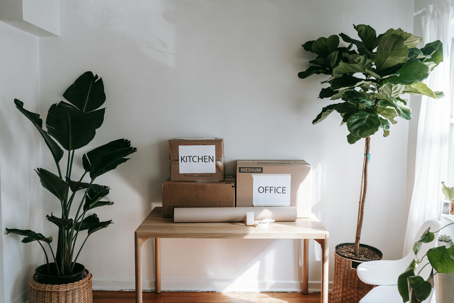 Migrating From Zoom to Microsoft Teams: A Tactical Playbook