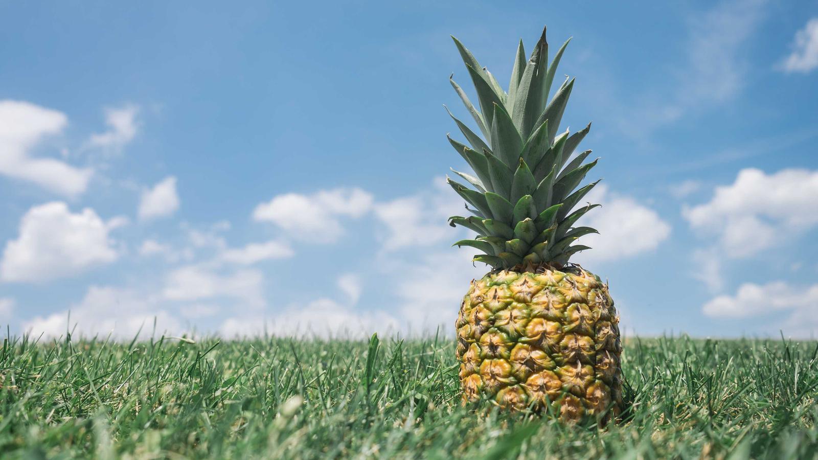 Building a Cohesive Growth Stack: Key SaaS Tools for 2026