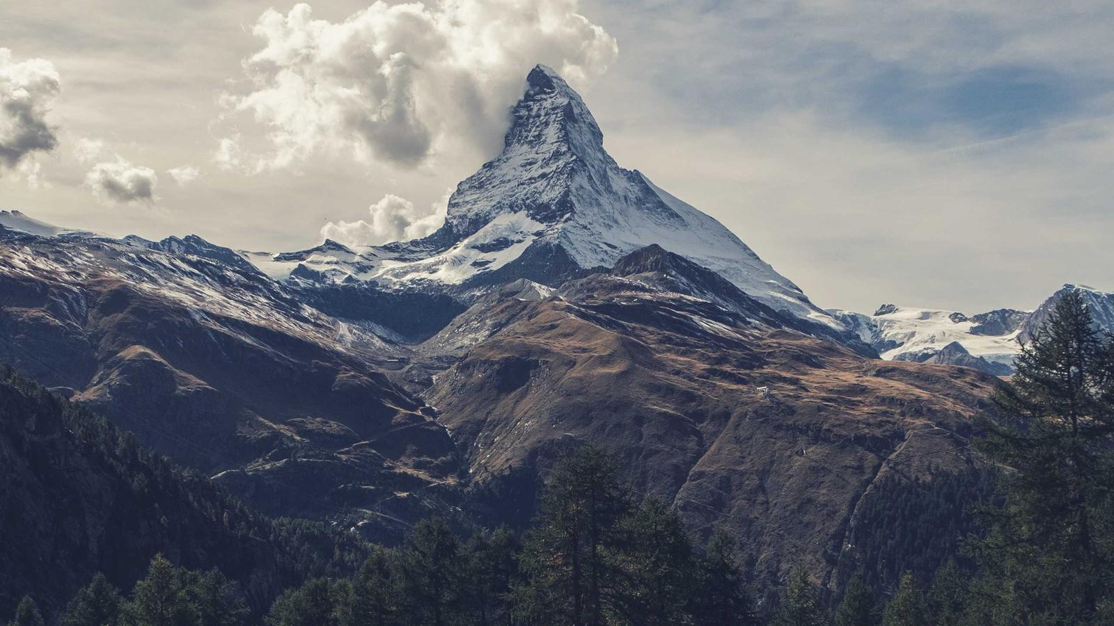 Driving Growth: Key Marketing Automation Tools for Startups