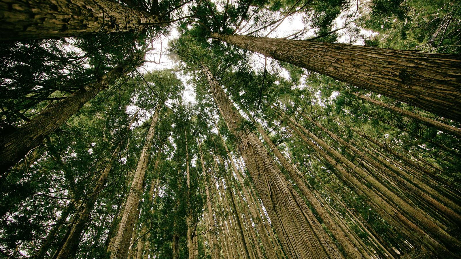 Building a Scalable Data Infrastructure: What Founders Must Know