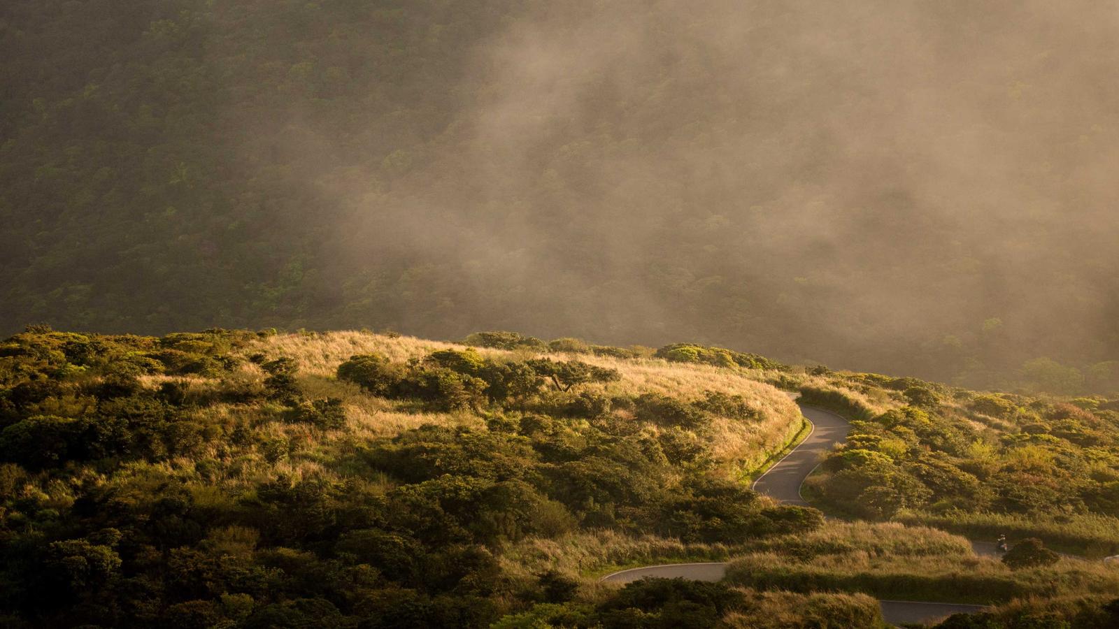 Cloud Storage Choices: Selecting the Best Fit for Your Team