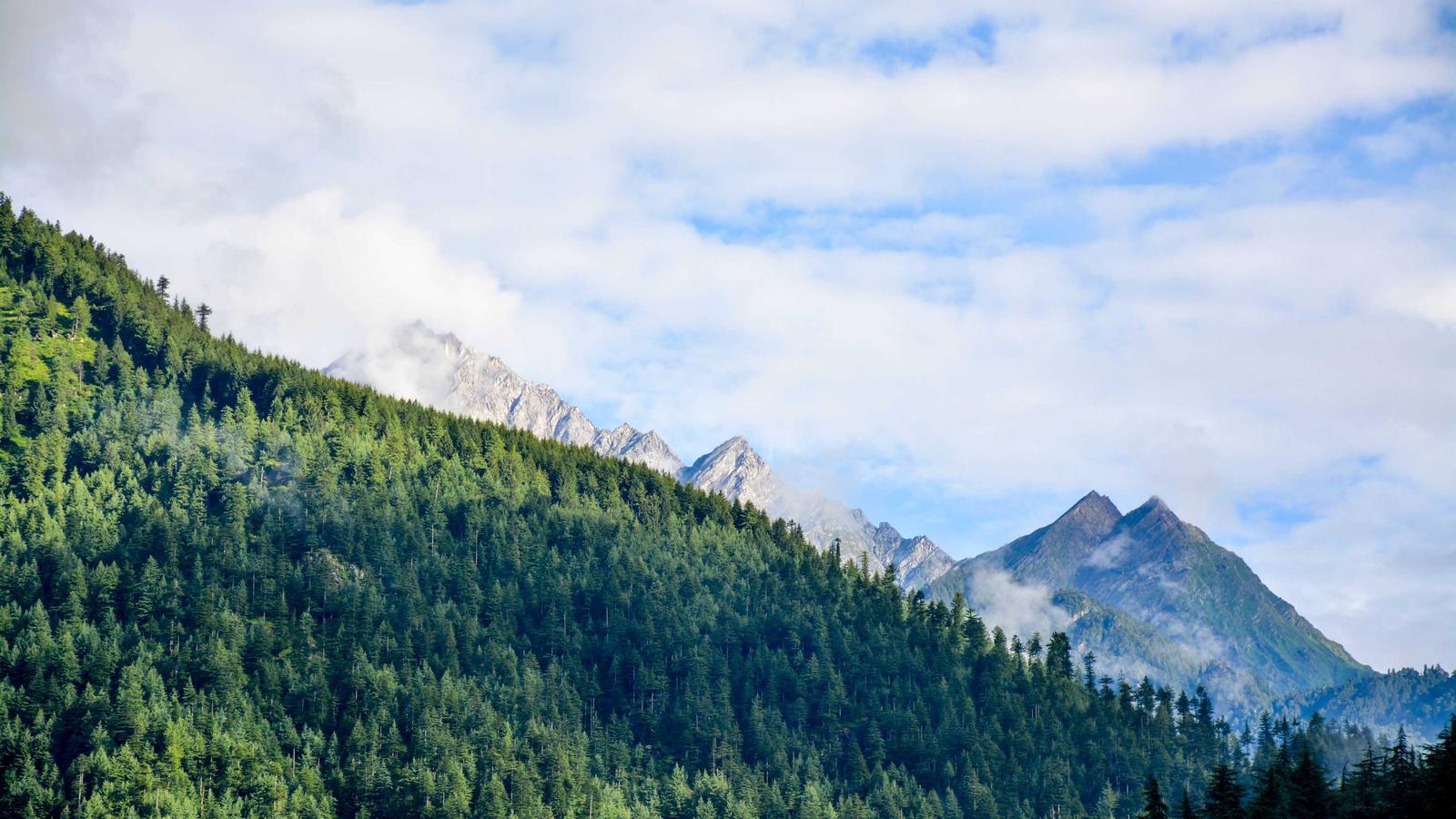 Scaling Your Team to 50 Employees: Essential HR Tools Reviewed