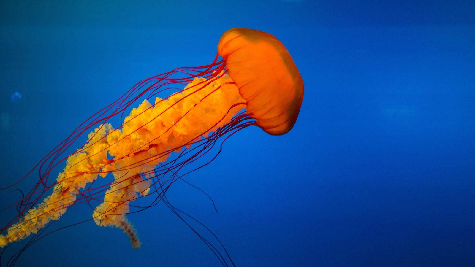 Why Companies are Shifting from Salesforce to Pipedrive