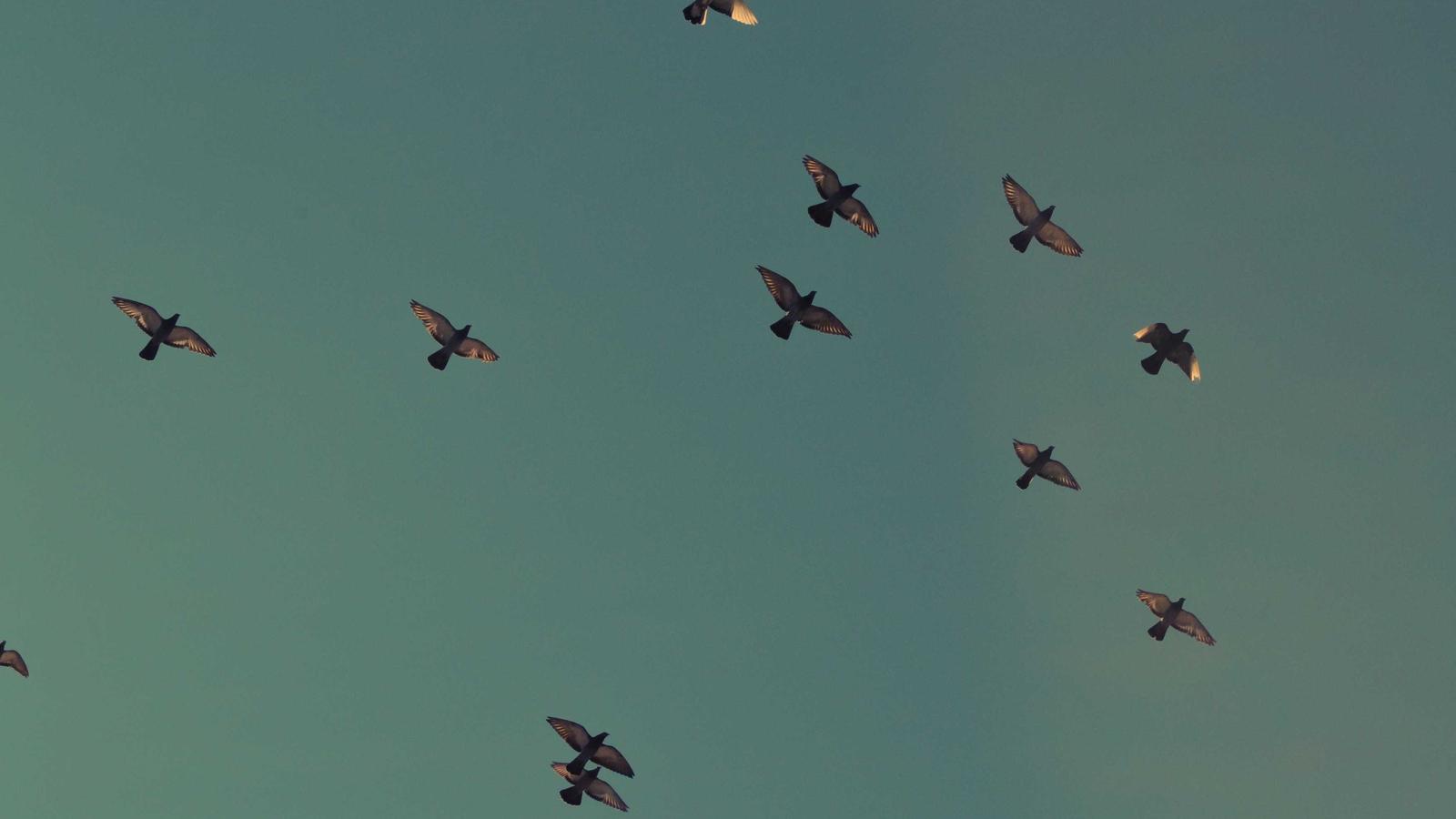 Essential HR Tools for Growing Teams: A full Review