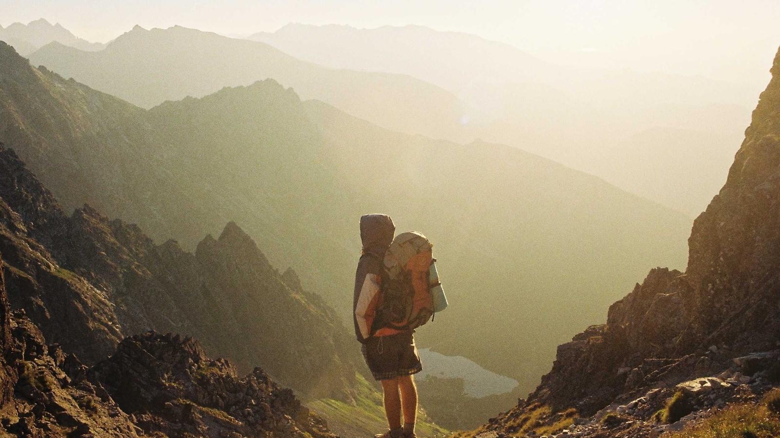The Migration Journey: From SaaS to Self-Hosted Solutions