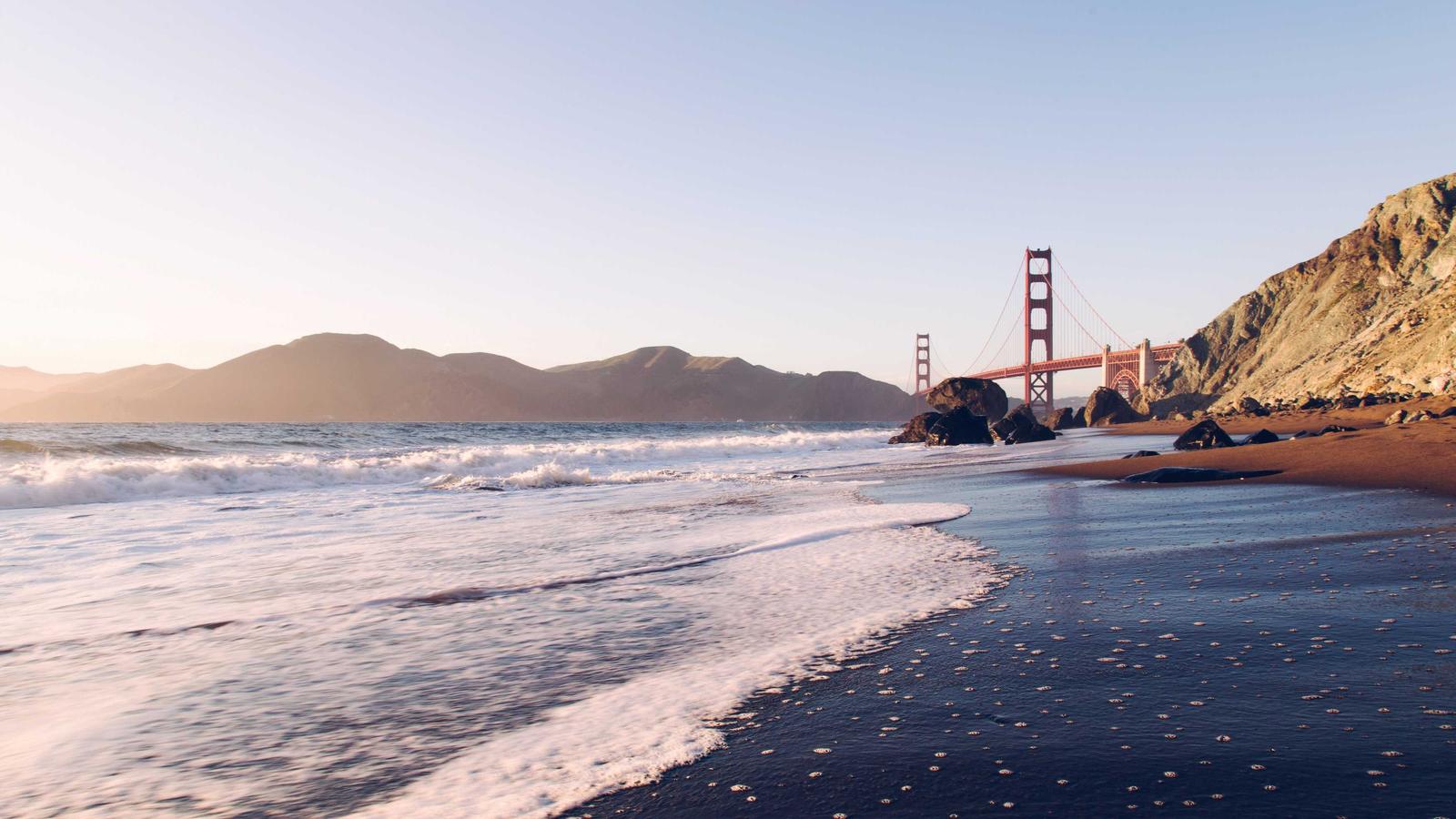 Financial Freedom: Self-Hosted Accounting Solutions vs. Xero