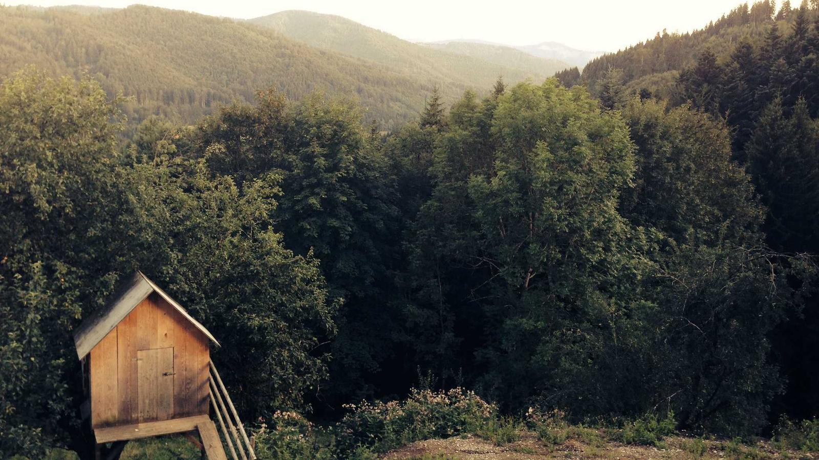 Understanding Workday Pricing for Enterprises: A Detailed Breakdown
