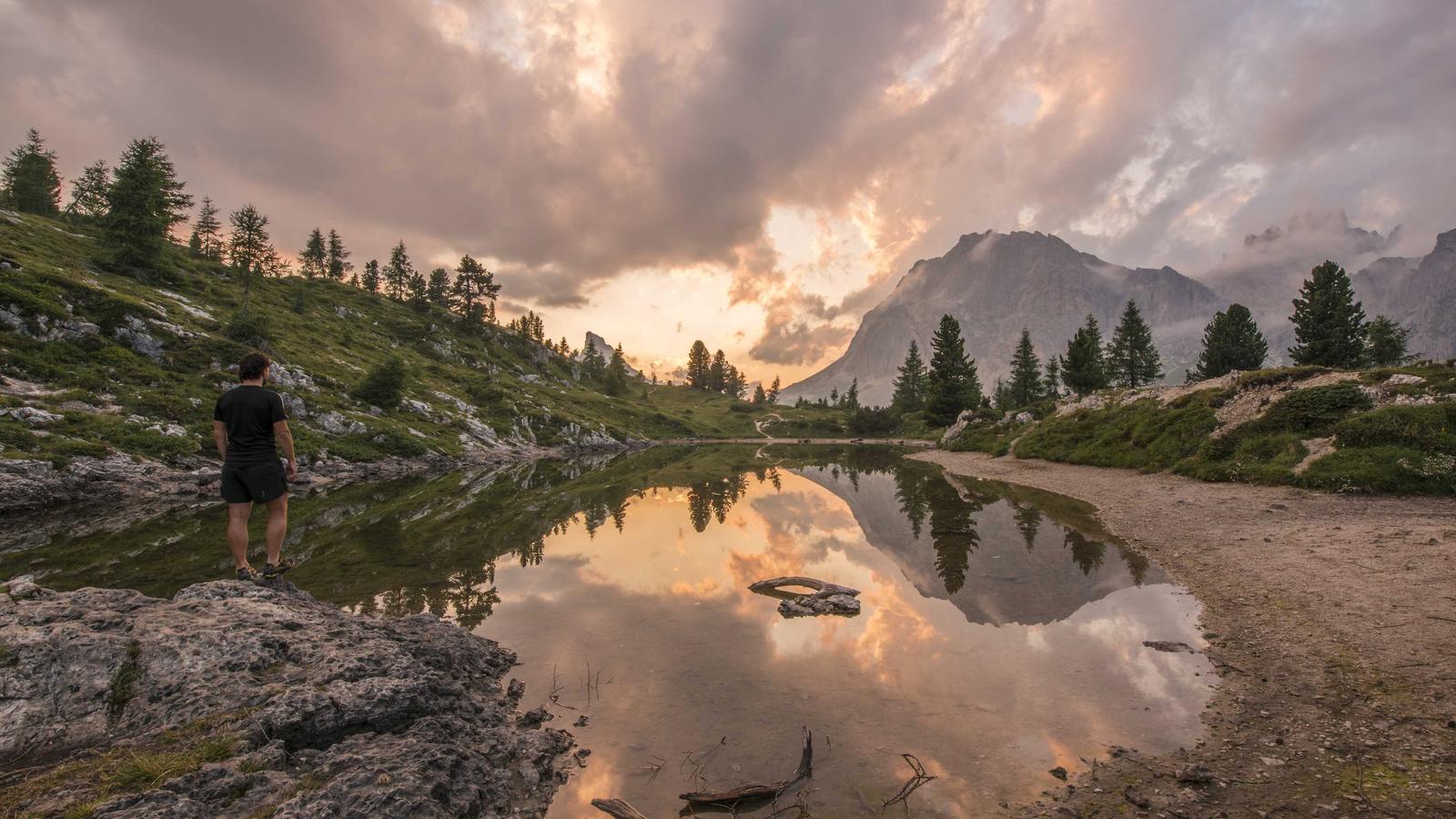 The Demise of Google Cloud Print: Key Lessons for Tech Companies