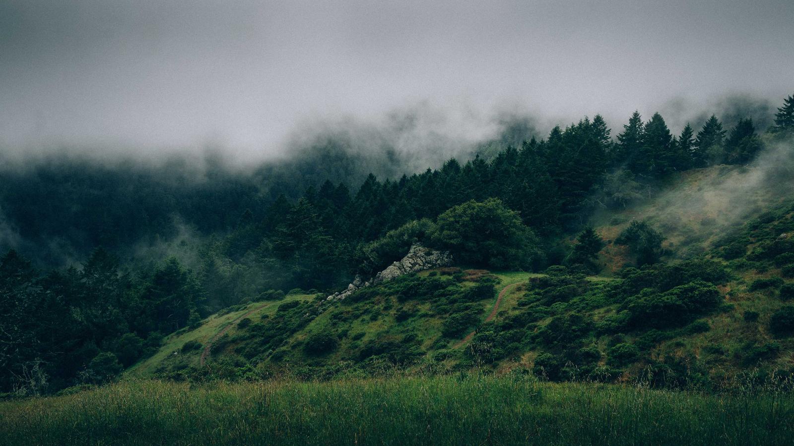 Firebase ML Kit's Shortcomings: A Cautionary Tech Tale