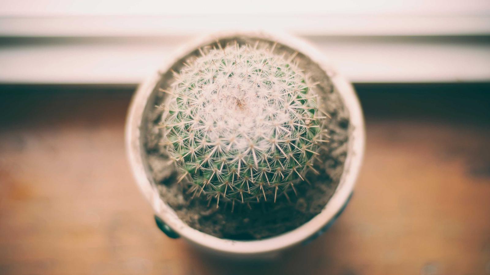 Migrating from Jira to ClickUp: A Four-Week Playbook for Success