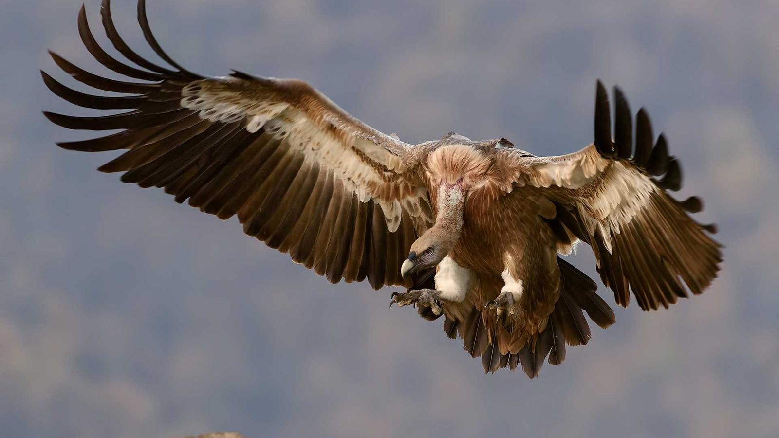 Migrating from Jira to Monday.com: A 4-Week Playbook for Success