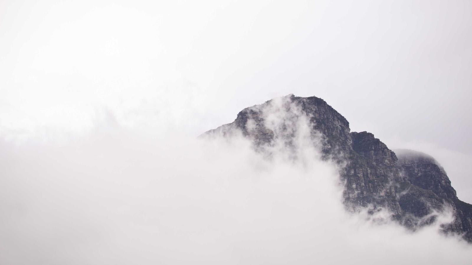 Project Management Showdown: When to Use ClickUp vs Monday.com