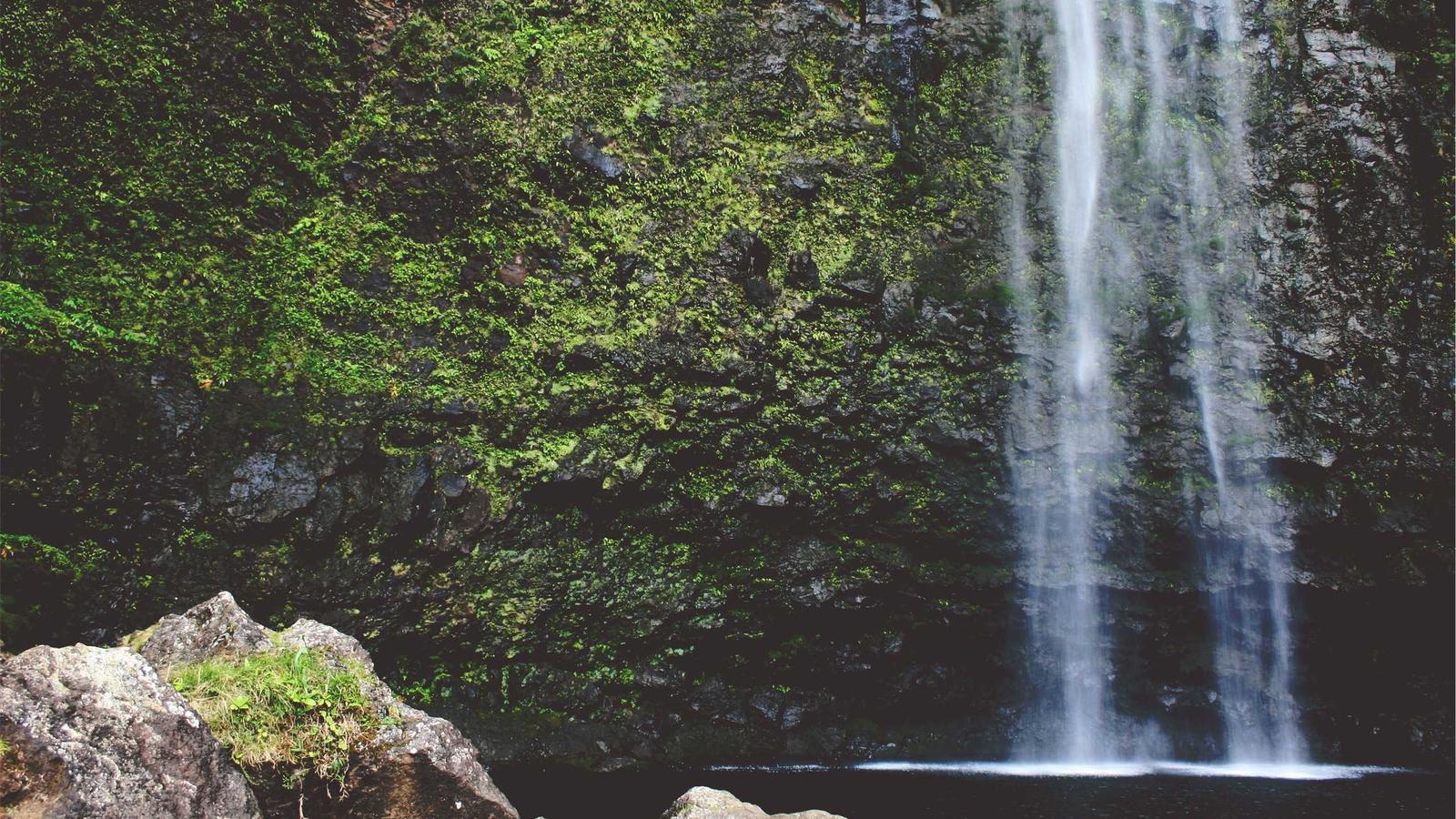 Building Data Infrastructure: A Founder’s Playbook for Success