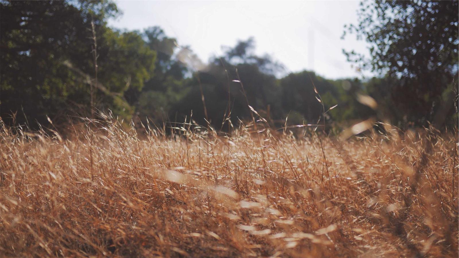 Essential Financial Tools for Founders: Streamline Your Startup