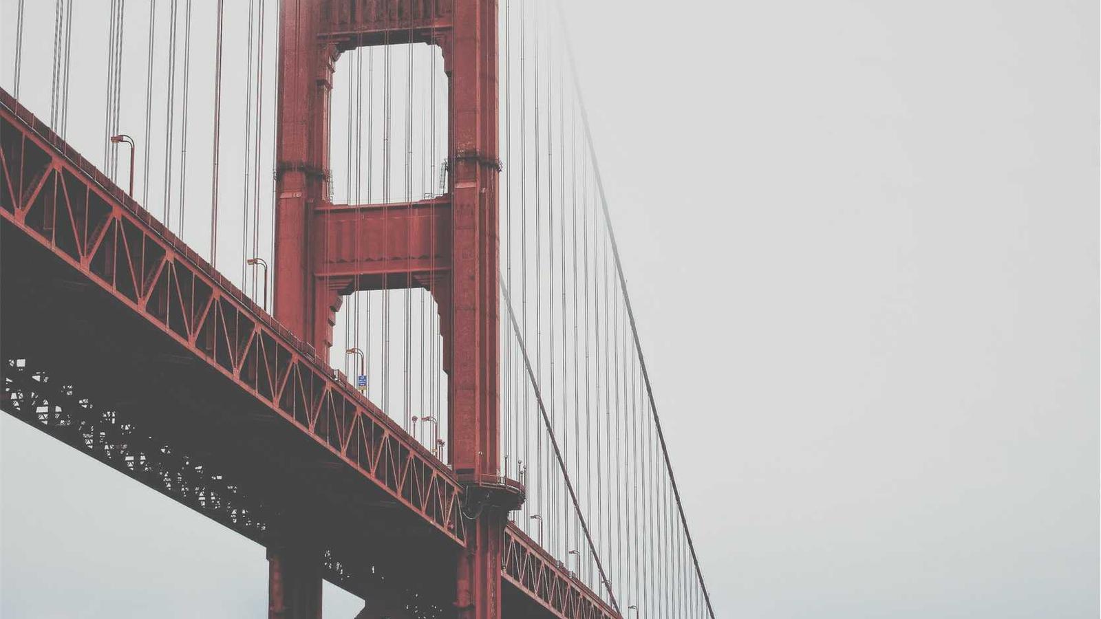 Self-Hosted vs SaaS Tools: Making the Right Choice for Your Business