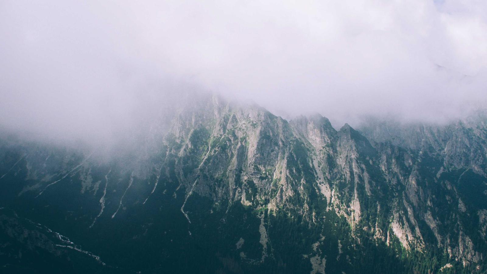 Understanding Automation Tools Pricing for Large Teams