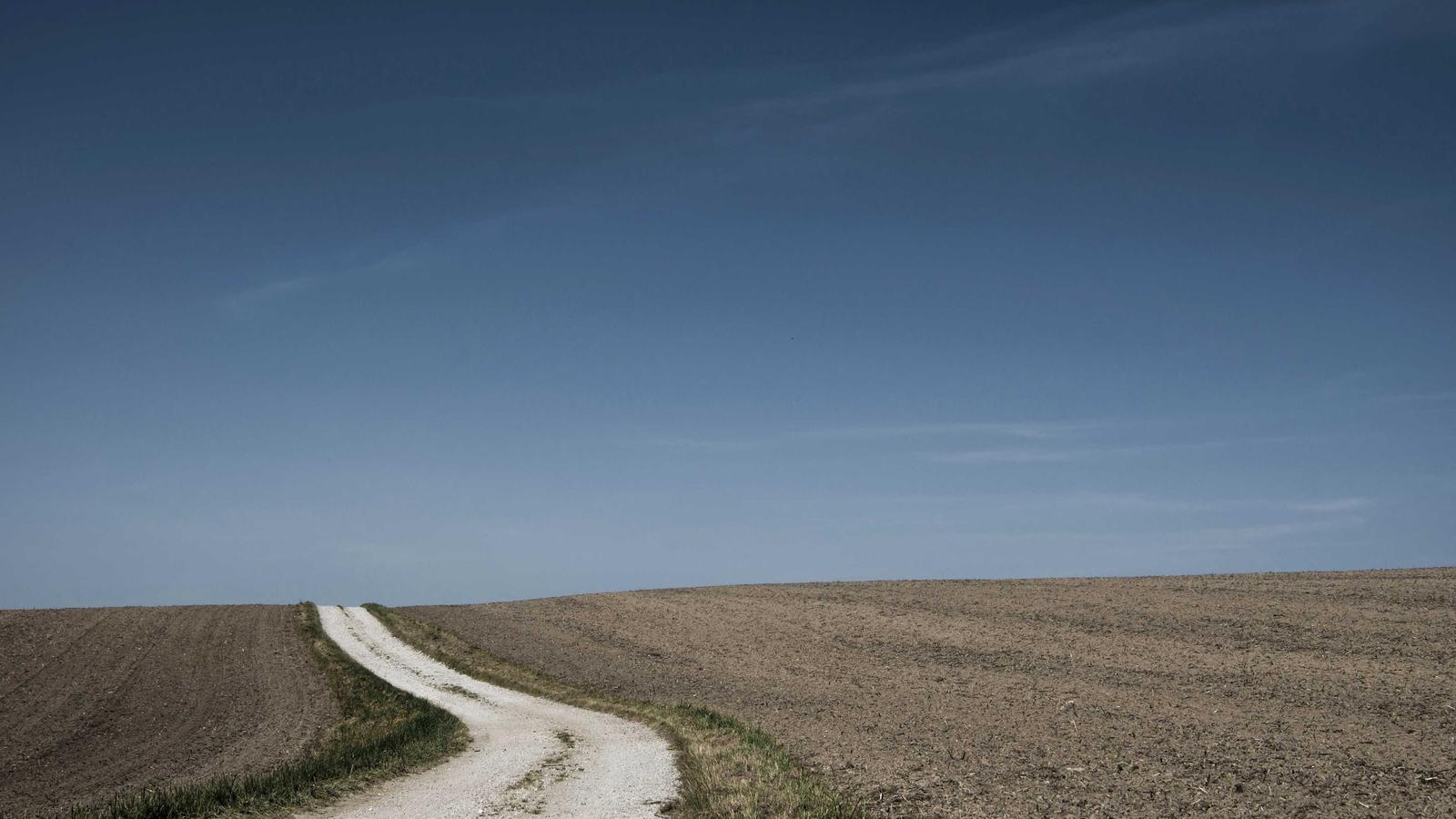 Cloud Storage Giants: Analyzing Competitive Strategies in 2023