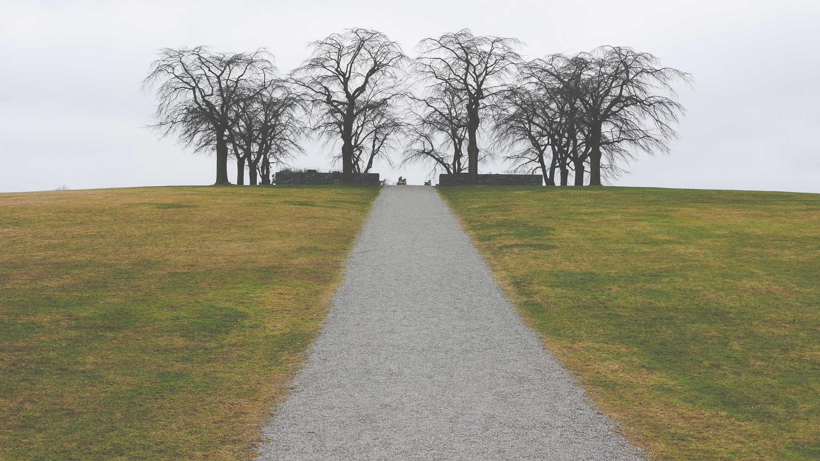 Plaid vs. Stripe: Deciding on Your Fintech Future