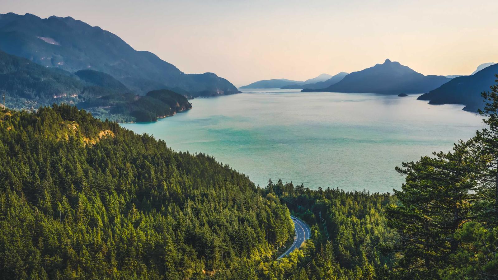 SaaS Growth Strategies: Why HubSpot, Salesforce, and Notion Stand Out