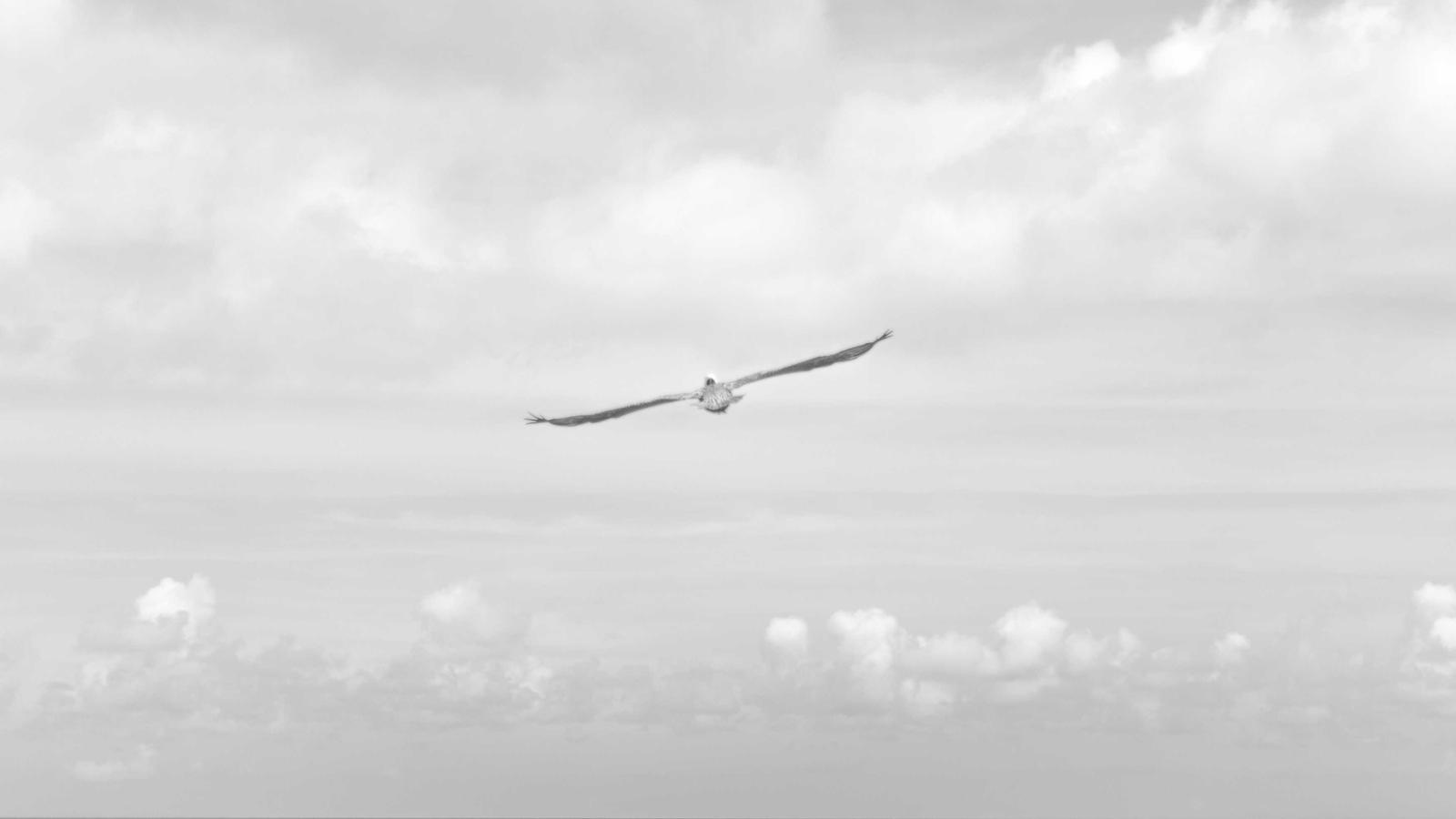 The Failure of Squarespace Email Campaigns: A Marketing Misstep