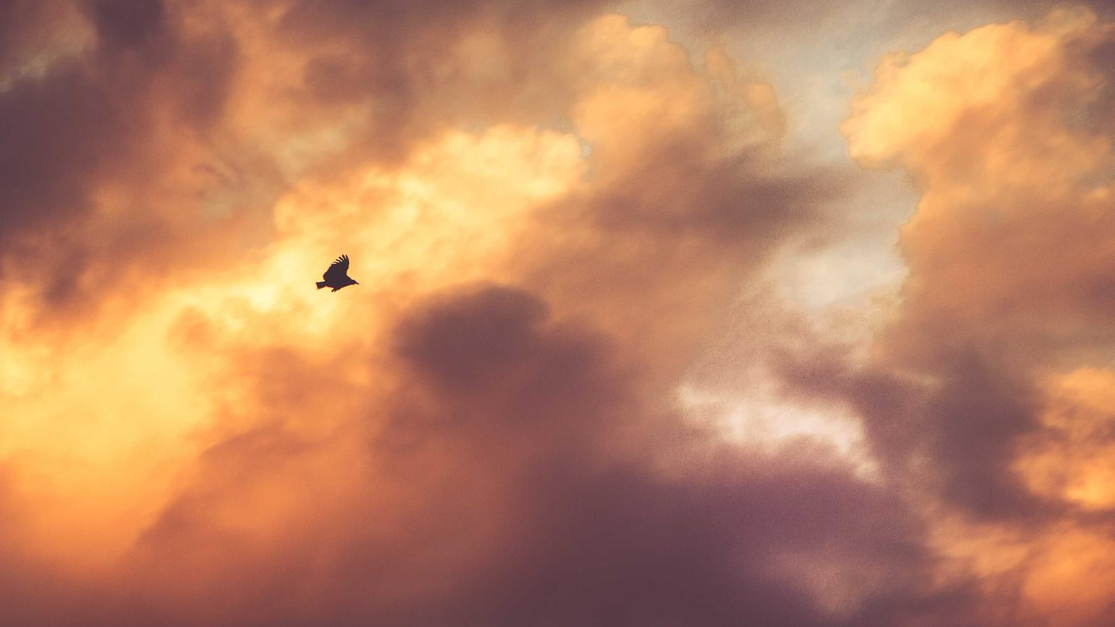 When to Choose Airtable Over Notion: A Strategic Analysis
