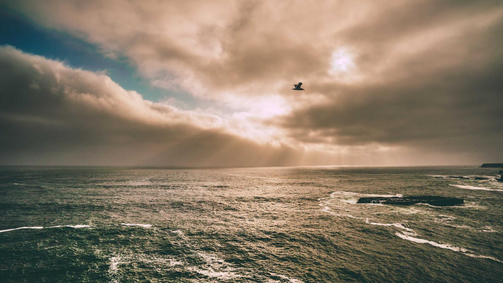 Cloud Solutions Outpace On-Premise Software: The 2026 Shift