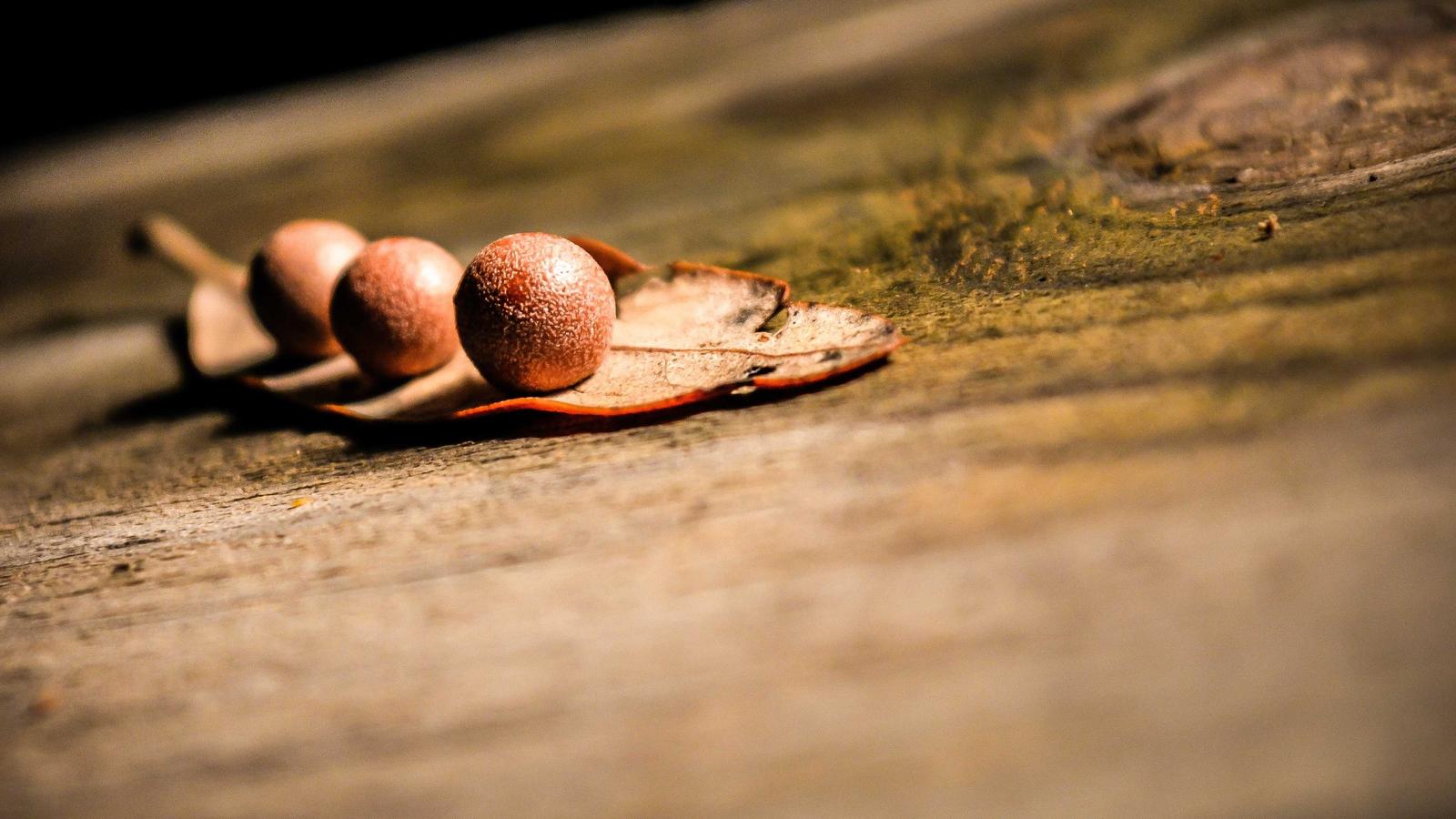 The Hidden Costs of HR Tools for Large Organizations