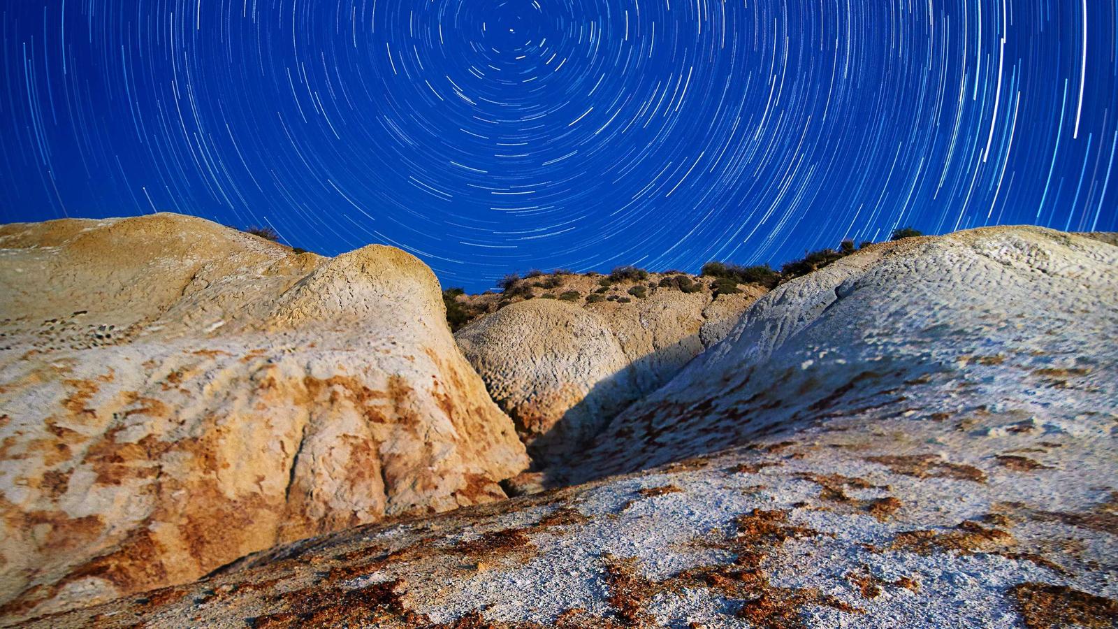 Reimagining Knowledge Management: The Rise of Self-Hosted Solutions