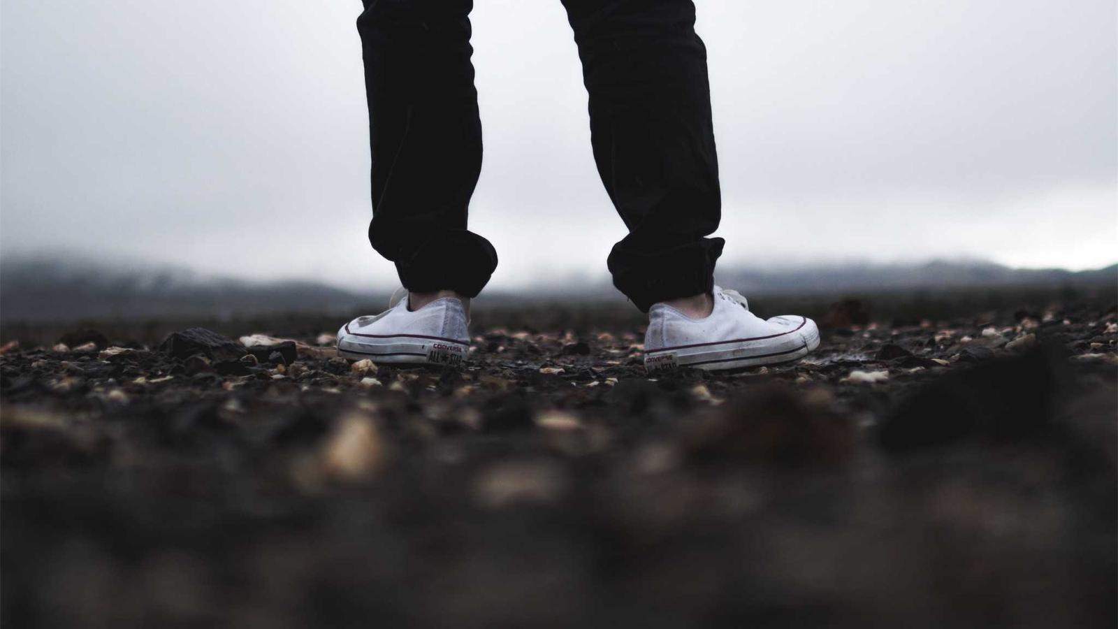 The Rise of Solopreneur Tools: Canva and Zapier Redefining Independence