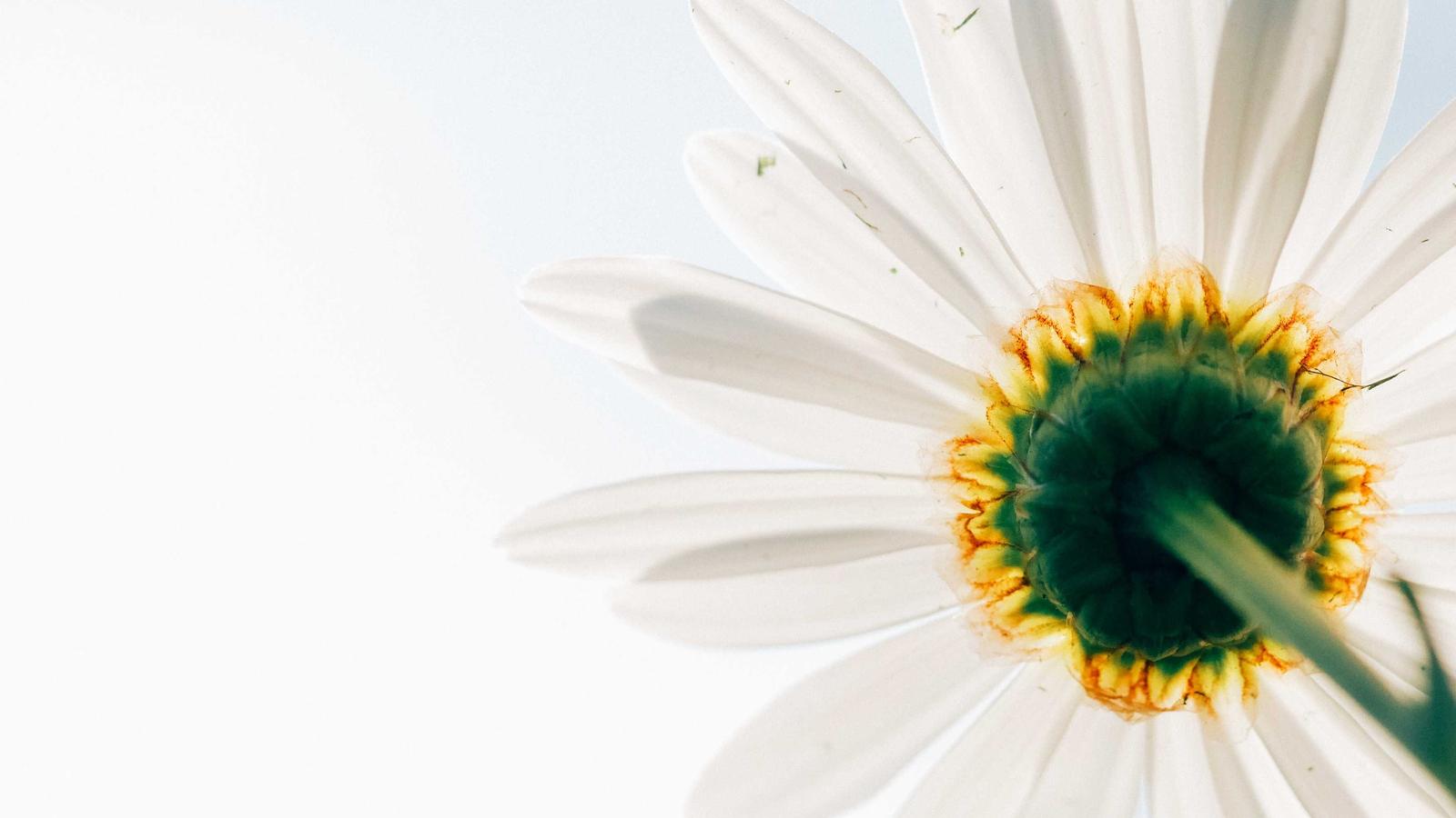 Automate Your Success: The Key Marketing Stack for Founders