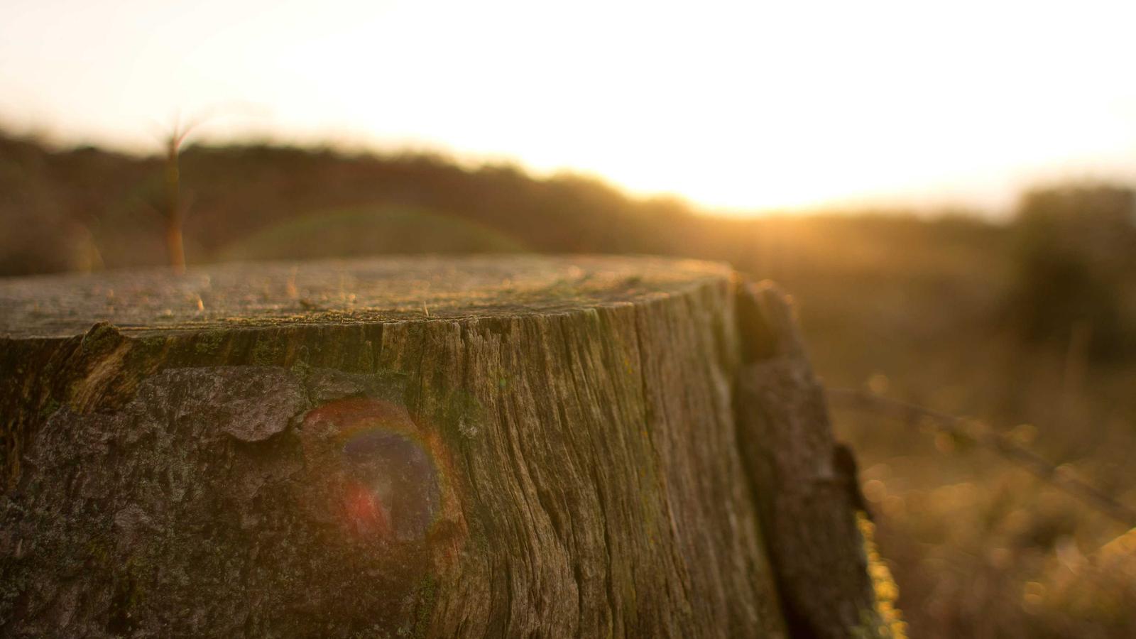 Legal Tech Tools for Founders: Strategies to Overcome Hurdles