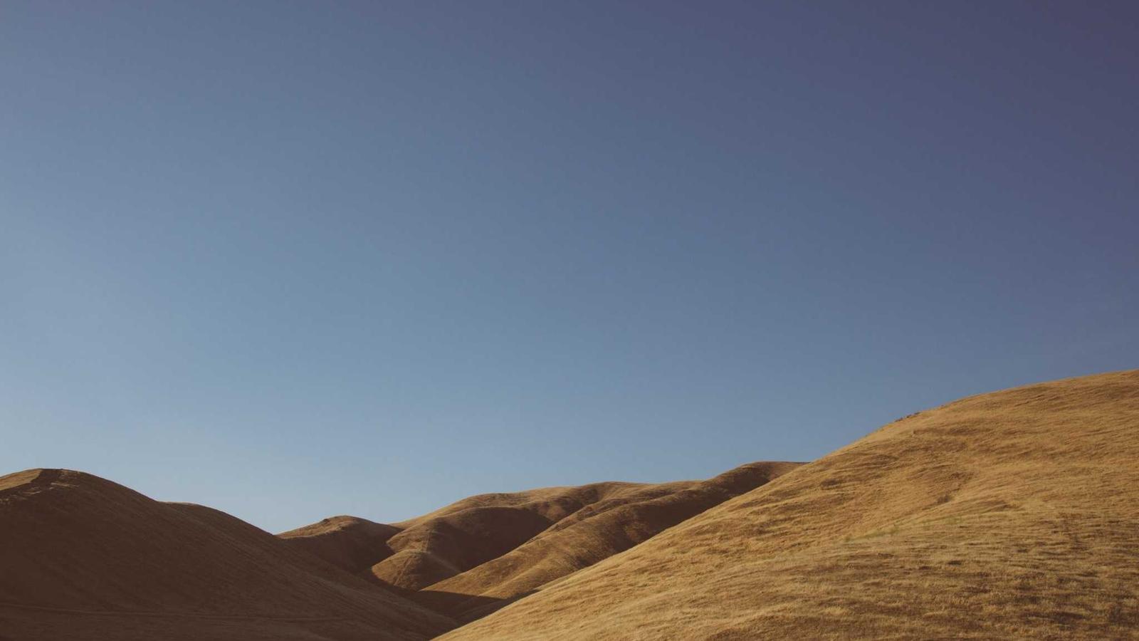 The SaaS Market in 2024: Who Will Come Out on Top?