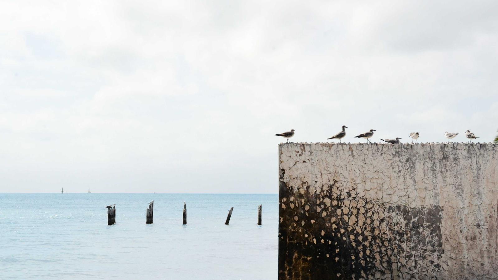 Open Source vs. SaaS: The Self-Hosting Revolution is Here