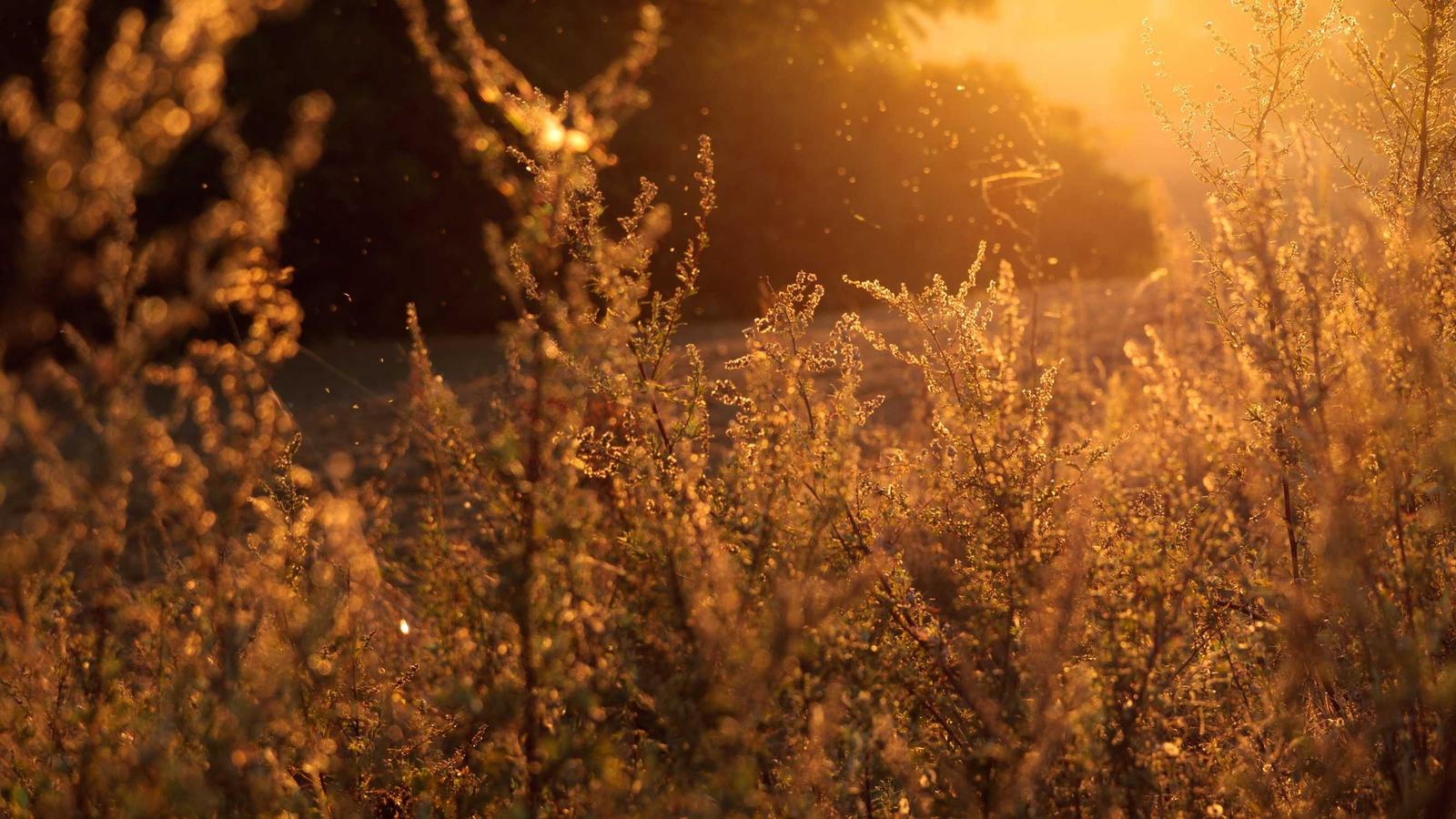 Replacing Salesforce: HubSpot's Rise as the Future of CRM in 2026