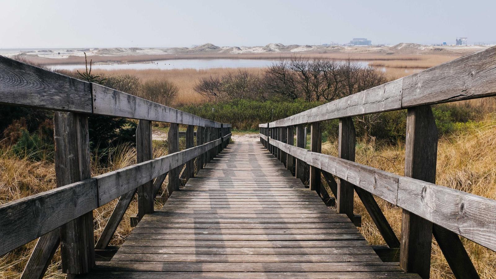 Transforming Automation: The Case for Self-Hosted Tools