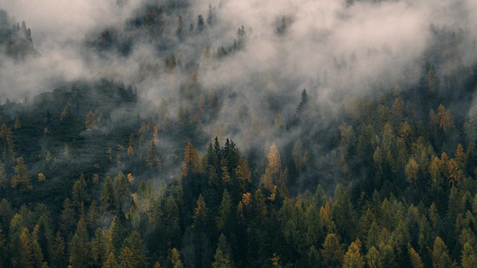 Why Open-Source Visualization Tools Matter for 2026